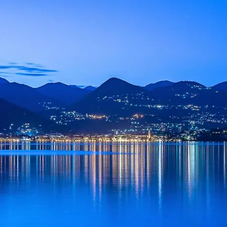 Azalea * ستريزا