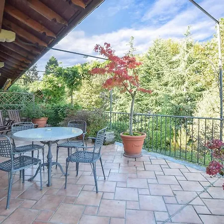 Azalea * ستريزا