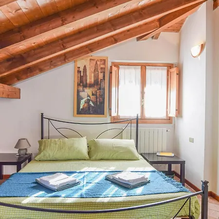 Azalea * ستريزا